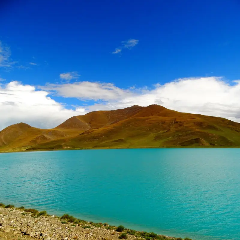 Yamdrok Yumtso Lakeshore (羊卓雍错湖岸)