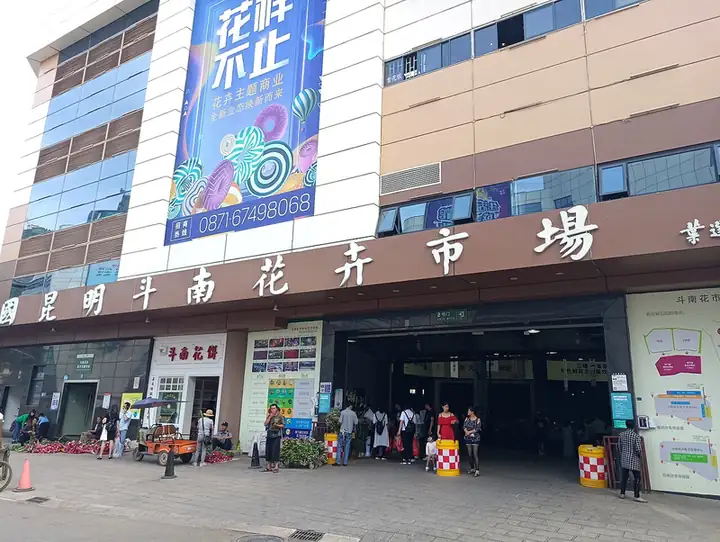 Dounan Flower Market (斗南花卉市场)