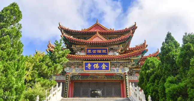Longkou Nanshan Tourism Area (龙口南山旅游景区)