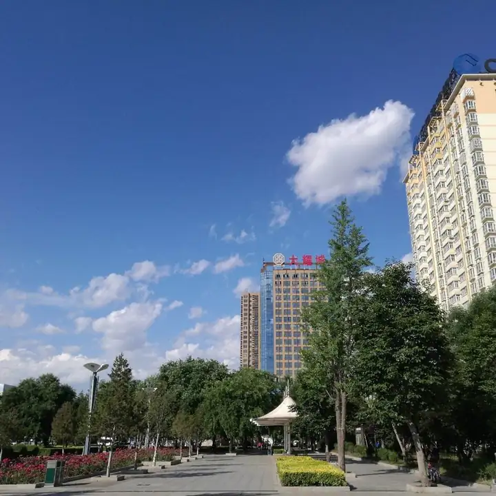 Yaozhou District (耀州区) — representative view · 绿树、道路与城市住宅楼