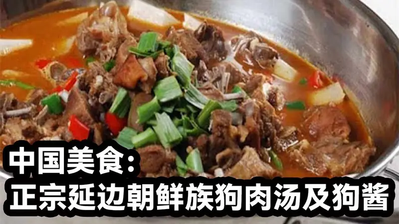 Dog Meat Soup (狗肉汤) — dish photograph