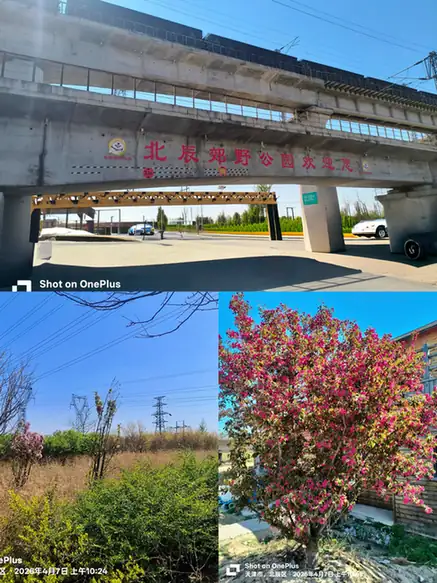 Beichen Country Park (北辰郊野公园)