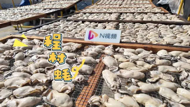 Chengcun Oysters (程村蚝) — dish photograph