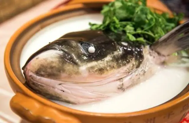 Qiandao Lake Clay Pot Fish Head (千岛湖砂锅鱼头) — dish photograph
