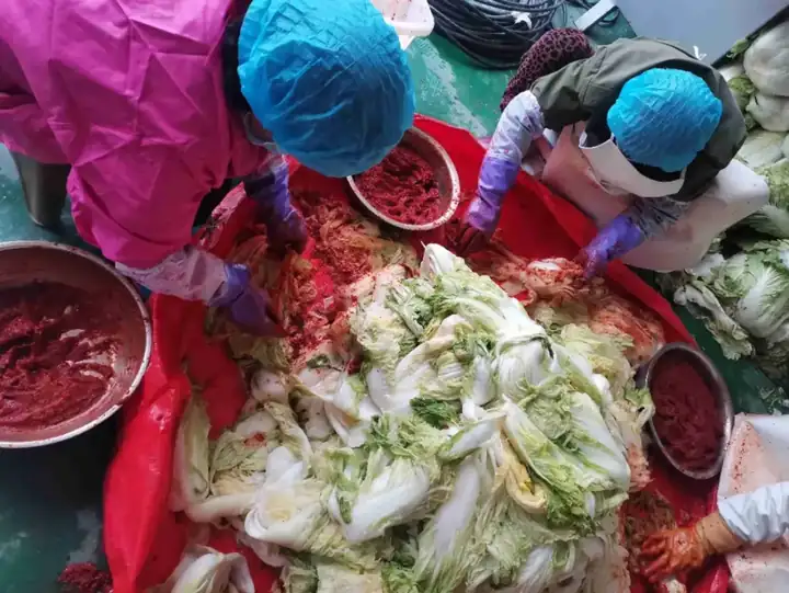 Spicy Pickled Cabbage (辣白菜) — dish photograph