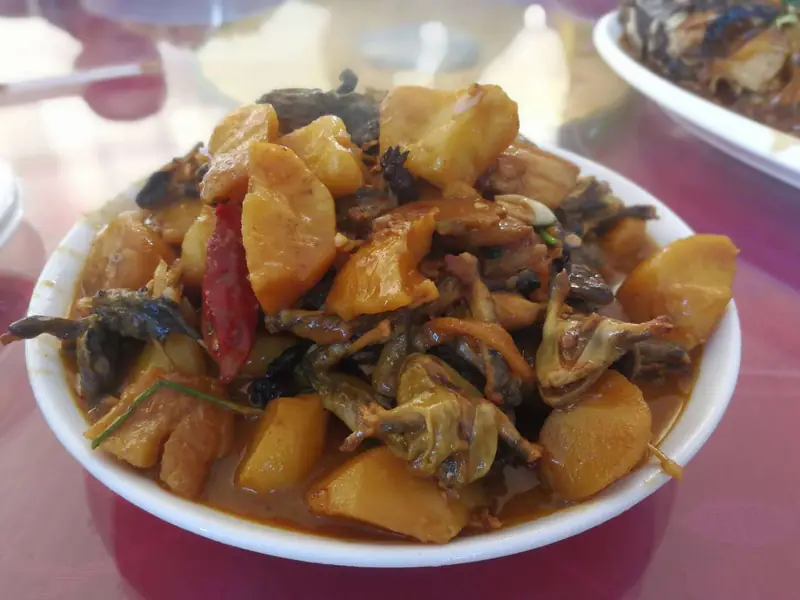 Forest Frog Stewed with Potatoes (林蛙炖土豆) — dish photograph