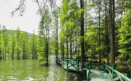 Jiuzhen Mountain (九真山)