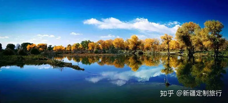 Zepu Golden Poplar Scenic Area (泽普金湖杨景区)