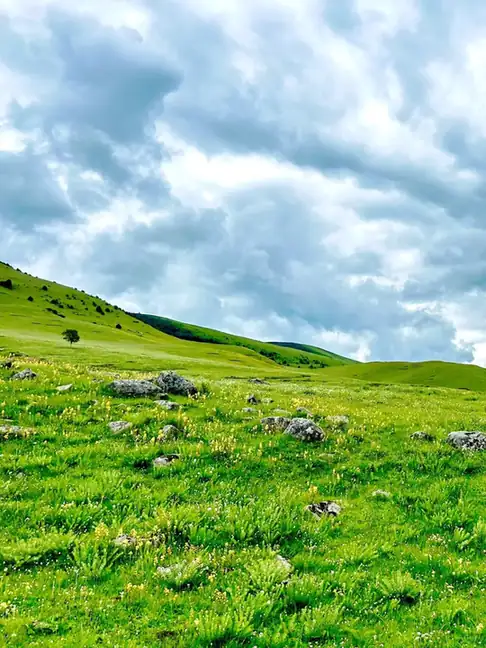 Yuke Grassland (玉科草原)