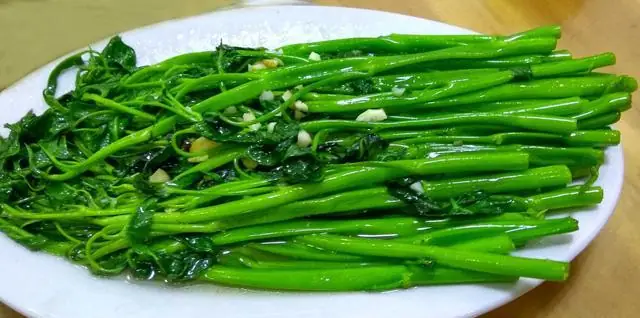 Duowen Stir-Fried Water Spinach with Meat (多文空心菜炒肉) — dish photograph