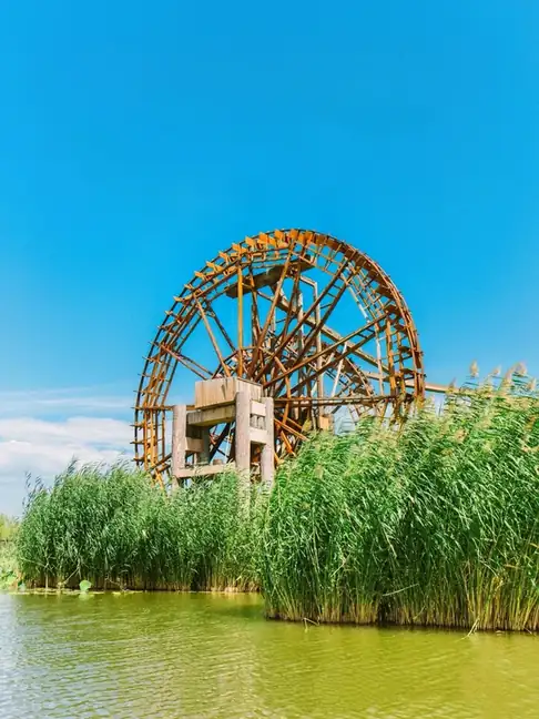 Mingcui Lake Wetland (鸣翠湖)