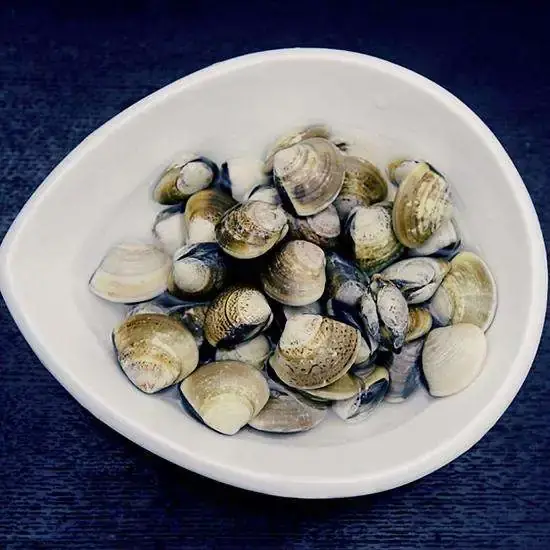 Yellow River Estuary Hard Clams (黄河口文蛤) — dish photograph