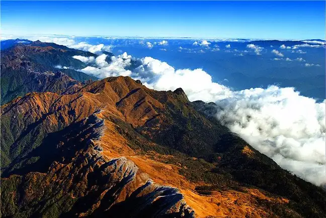 Gaoligong Mountains Baihualing Nature Trail (高黎贡山百花岭正规自然观察线路)