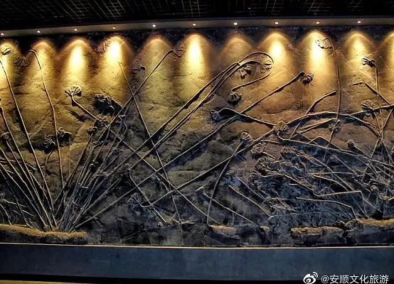 Guanling Fossil Group National Geopark (关岭化石群国家地质公园)
