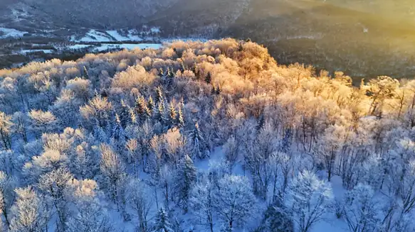 Weihu Mountain National Forest Park (威虎山国家森林公园)