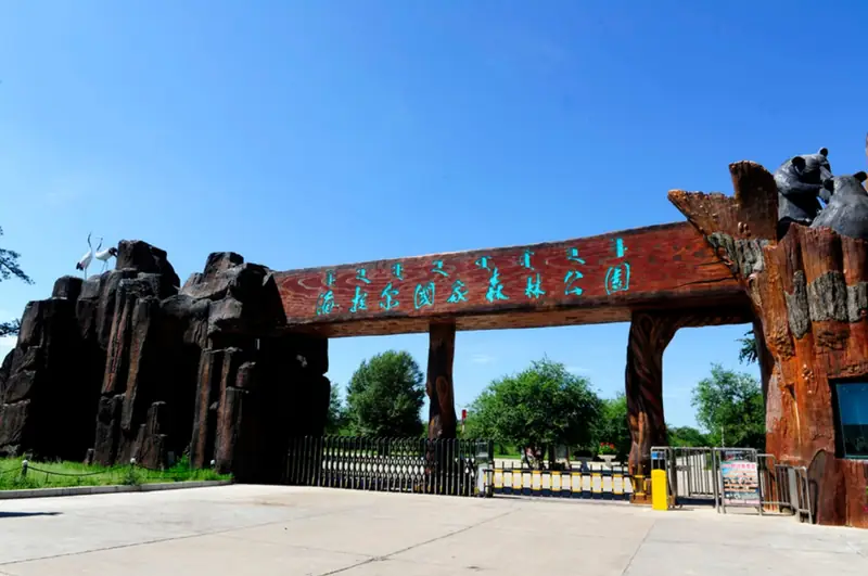 Hailun National Forest Park (海伦国家森林公园)