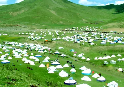 Gadê County (甘德县) — representative view · 绿色草地上的成片帐篷与远山