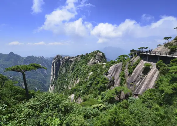 Yashan Flower Sea Stone Forest (丫山花海石林)