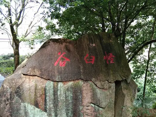 Qinglan Rock Potholes (青岚冰臼)