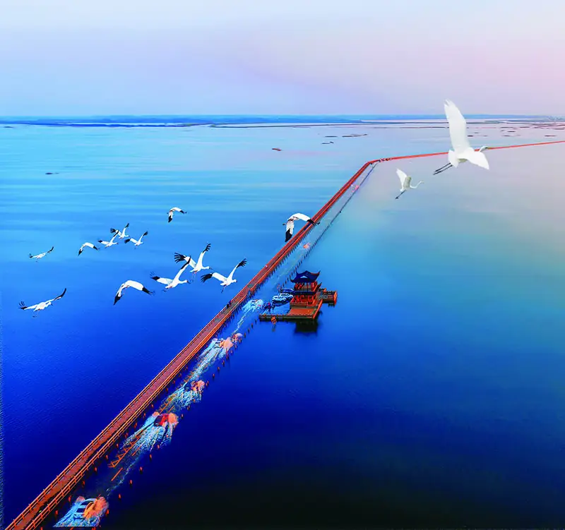 Wucheng Ancient Town and Poyang Lake Birdwatching Sites (吴城古镇与鄱阳湖开放观鸟点)