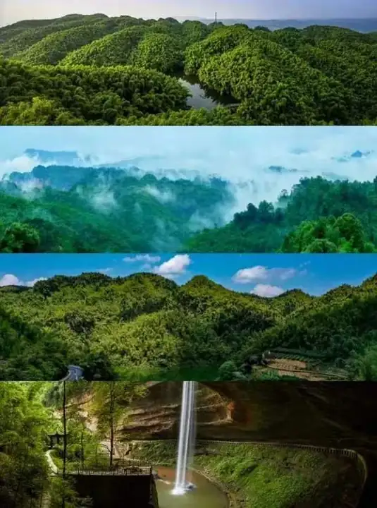 Muchuan Bamboo Sea (沐川竹海)