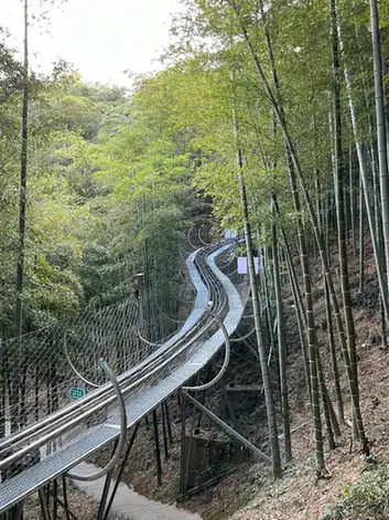 China Great Bamboo Sea (中国大竹海)