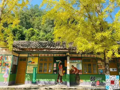 Maozifeng Forest Farm (帽子峰林场)