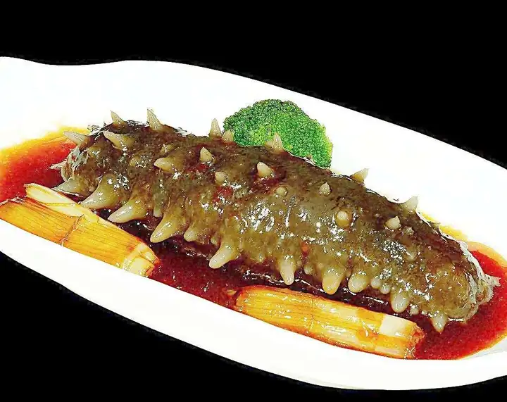 Braised Sea Cucumber with Scallions (大葱烧海参) — dish photograph