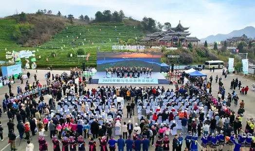 Duyun Maojian Tea Mountains (都匀毛尖茶山)