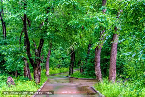 Mingshan Island (名山岛)