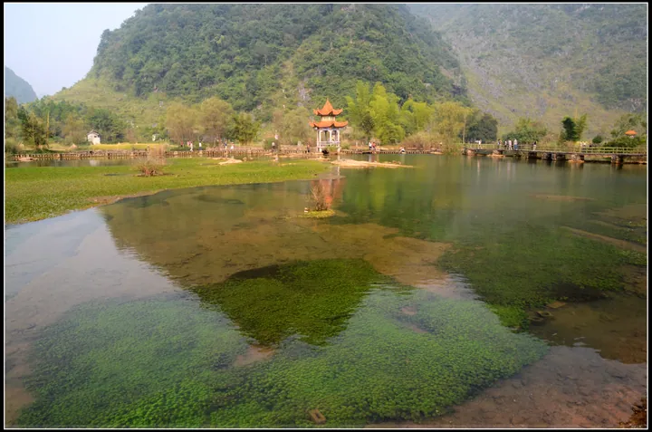 A wide view of a clear spring pool: pale turquoise water with dense green waterweed under the surface, a low stone causeway and a timber walkway with a red-and-orange pavilion crossing the middle distance, green banks with trees and a tall karst peak behind.