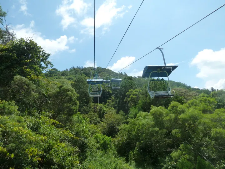 A sunlit hillside of dense green broadleaf forest seen from above, with an empty two-seat chairlift — a large canopy-topped chair in the right foreground and two more chairs receding along the cables — against a blue sky with cumulus clouds.