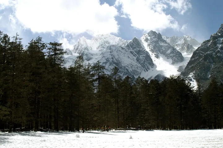 A snow-covered flat meadow in the foreground, a dense dark wall of tall spruce and fir across the middle of the frame, and behind it the jagged snow-covered rock faces and ridges of a high massif with glacier patches, under a blue sky with a large bright cumulus cloud; a few small dark figures on the snow at the base of the trees.