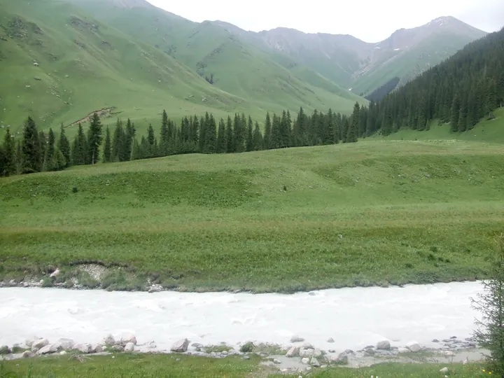The 夏塔 gorge: a milky grey glacial river in the foreground with boulders along its bank, a broad green meadow rising behind it, a band of dark spruce on the slope, and snow-patched rocky peaks closing the head of the valley under an overcast sky.