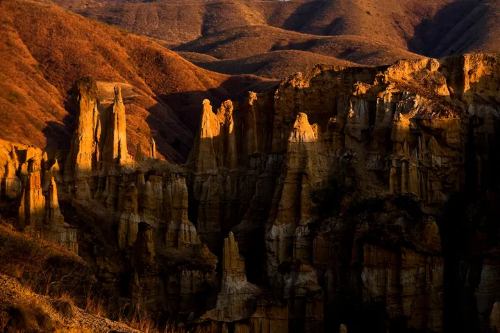 A field of tall eroded earth pillars and fluted cliffs in warm low sunlight, their yellow-brown surfaces carved into ribs and caprocks, with dark shadowed gullies between them and bare brown hills rising behind.