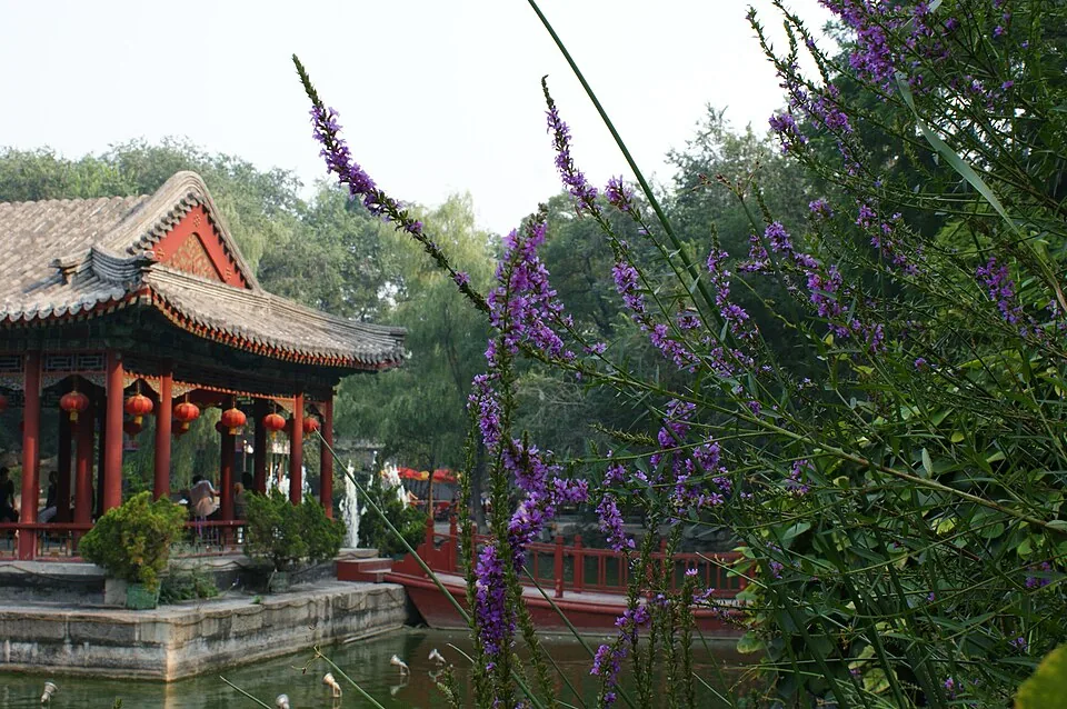 Prince Gong Mansion · 恭王府. Photo: 2008-08-03.