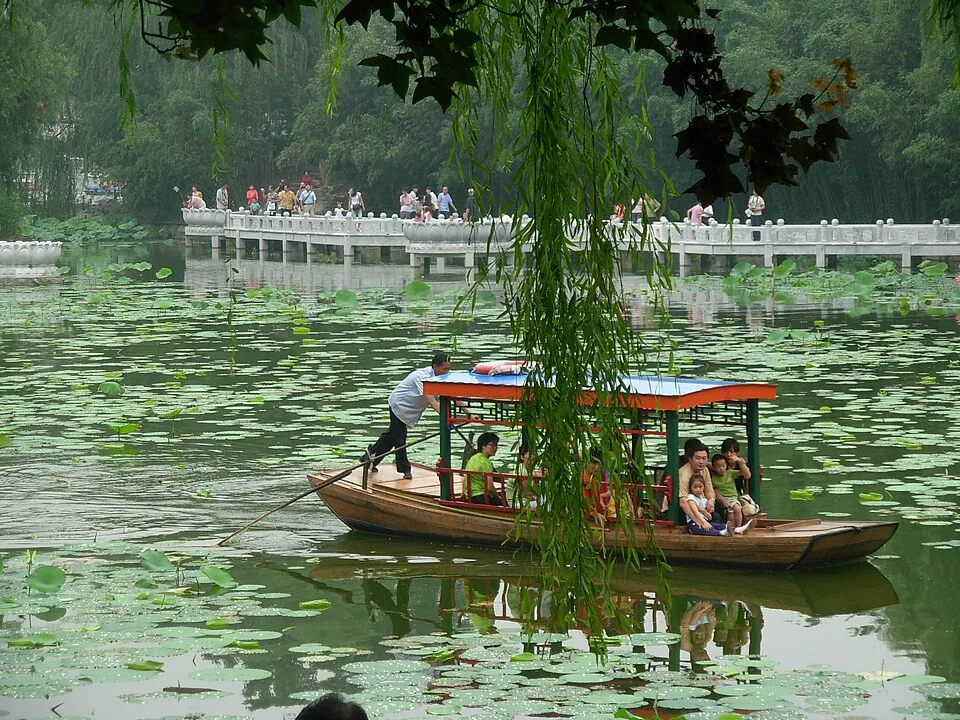 Purple Bamboo Park · 紫竹院公园. Photo: 2008-06-28.