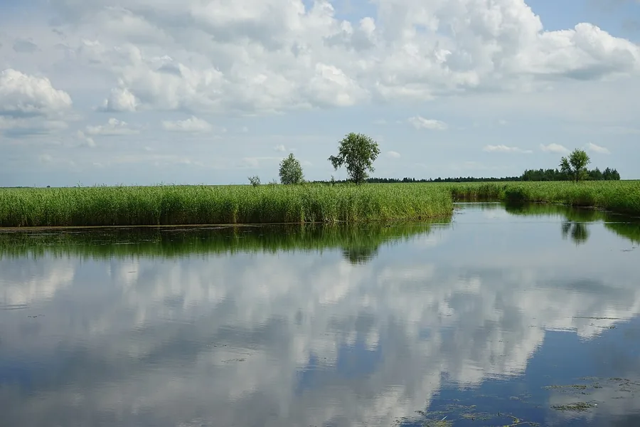 A reed-lined river bend in Zhalong Nature Reserve near Qiqihar, August 2017.