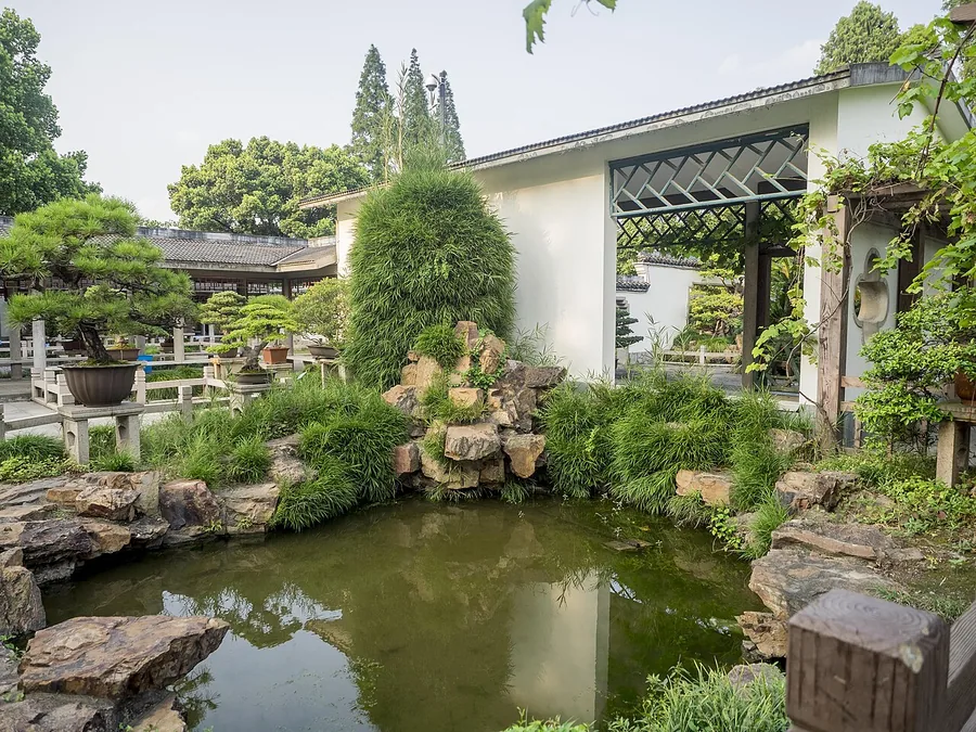 The penjing garden at Shanghai Botanical Garden; 30 August 2015.