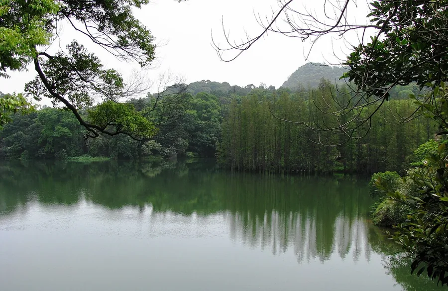 A wooded lake landscape on Mount Xiqiao, Foshan. Photographed on 6 April 2008.
