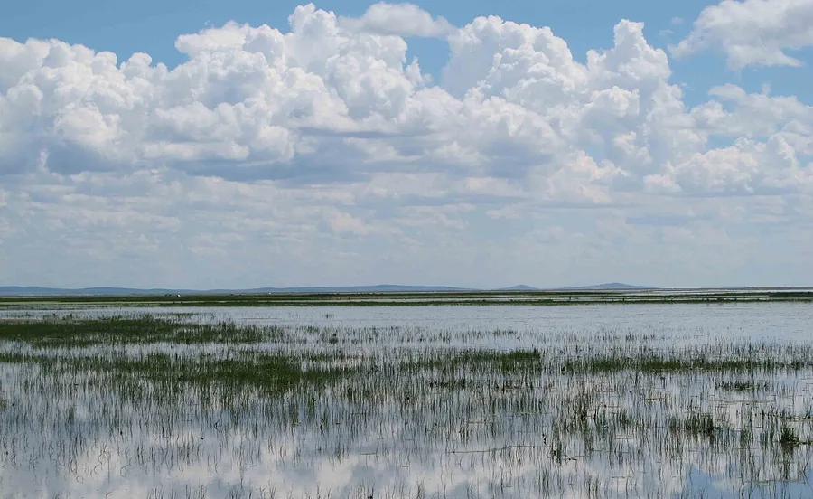 The reed-fringed water and open sky of Hulun Lake in Inner Mongolia, July 2010.