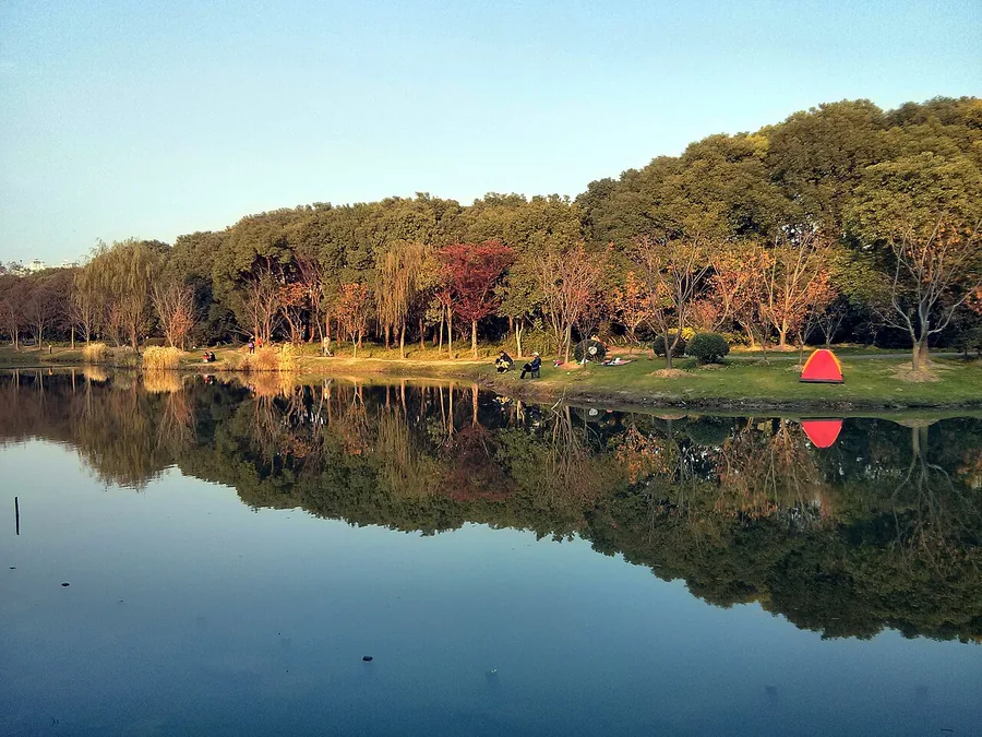 A tree-lined lake and people fishing in Shanghai's Century Park, December 2014.