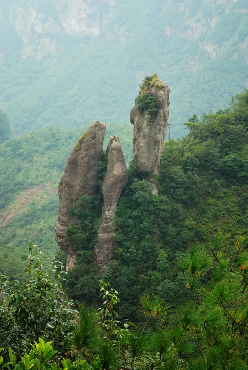 Rock pinnacles and wooded slopes in the Yandang Mountains of Zhejiang, November 2011.