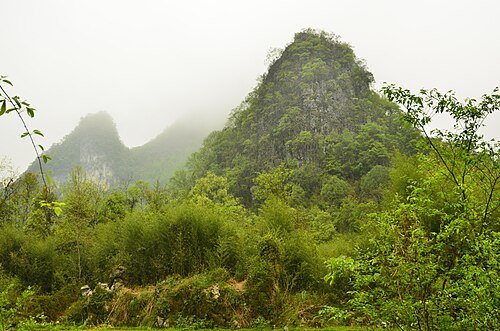 Seven Small Arches (Xiaoqikong) · 荔波小七孔