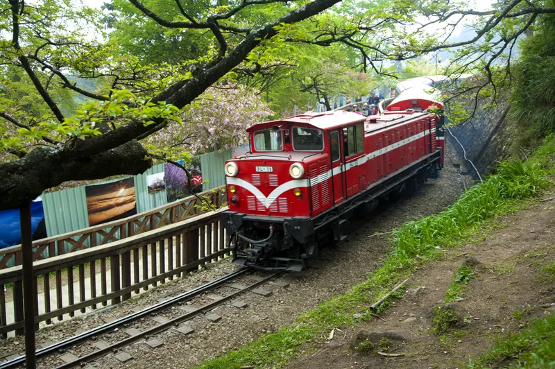 Alishan National Forest Recreation Area · 阿里山國家森林遊樂區