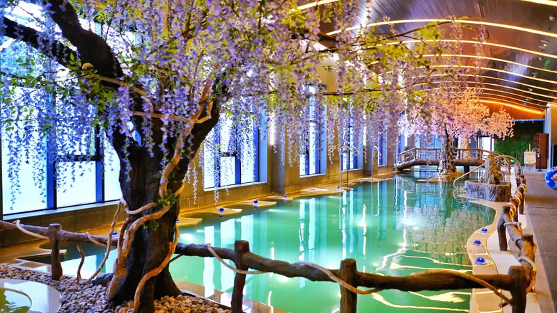 Changbai Mountain Julong Volcano Hot Spring · 长白山聚龙火山温泉