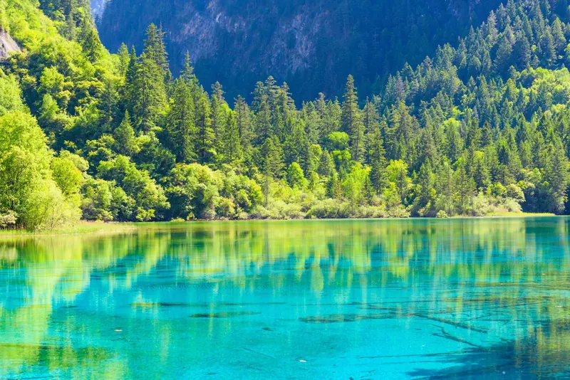 Jiuzhaigou National Park · 九寨沟风景区