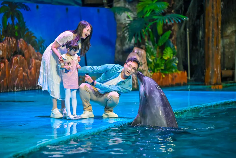 Dalian Laohutan Ocean Park · 老虎滩海洋公园