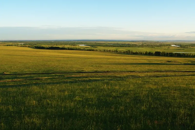 Open fields and grassland in the Hake area of Hulunbuir (呼伦贝尔哈克), photographed in June 2010.