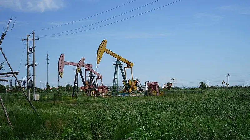 Pumpjacks in the Daqing oilfield (大庆油田), photographed in 2017; an industrial landscape.